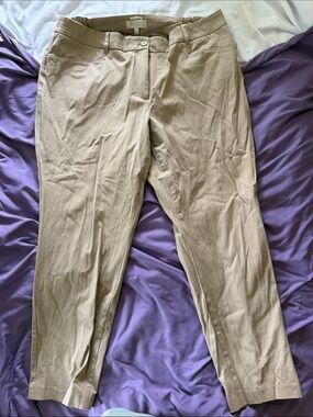 Women's Beige Dress Pants - Classic Tailored Fit